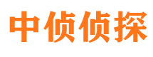 延津市私家侦探